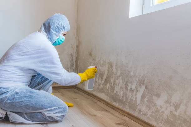 Mold Remediation specialist working in Millersburg