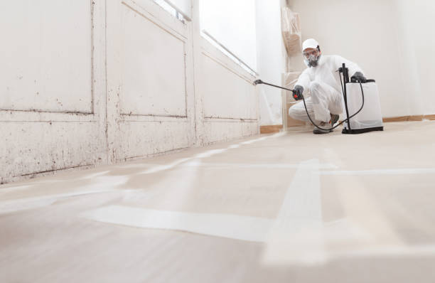 Black mold remediation team in Millersburg